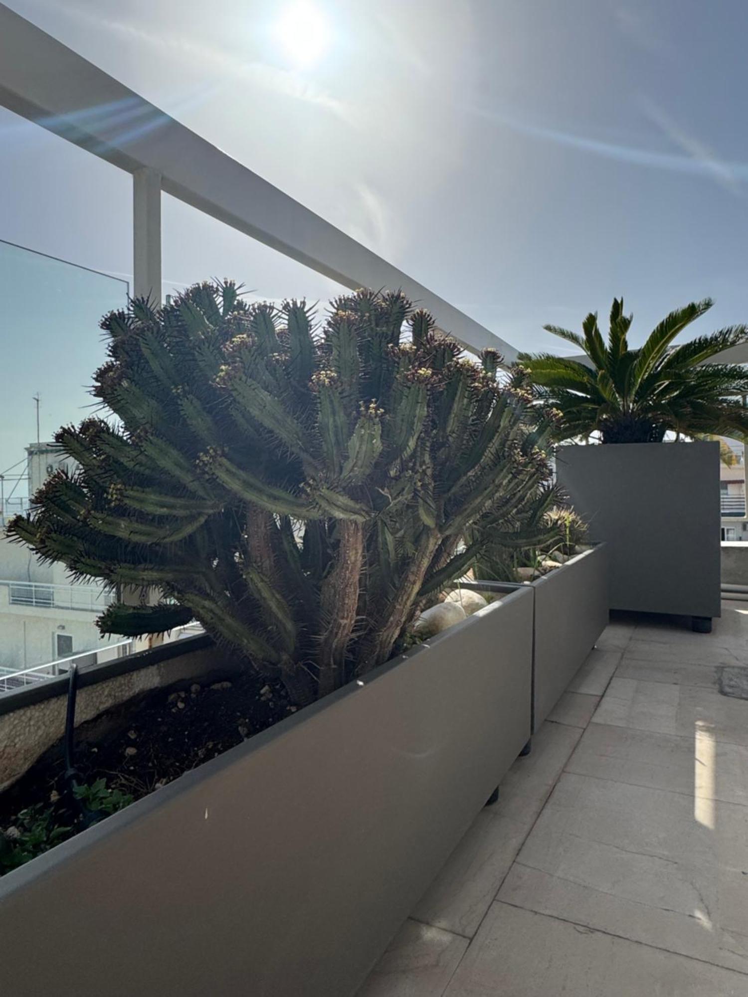 דירות אתונה Sea Horizon Penthouse Flat מראה חיצוני תמונה